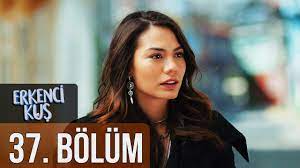 erkenci kus 37 bolum youtube