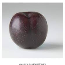 Plum drawing and coloring for kids. How To Draw A Plum Selling Art Online Fruits Drawing Sell Art Prints