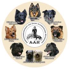Unsere hundis sind 3,5 jahre bzw. Altdeutsche Hutehunde Aah Bundesverband Beitrage Facebook