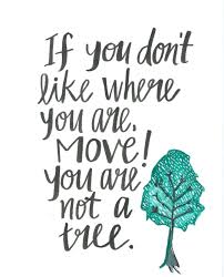 Well you're in luck, because here they come. If You Don T Like Where You Are Move You Are Not A Tree Powerful Quotes Workplace Quotes Quotes About Moving On