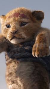 Pin On Boxoffice Movie 2019