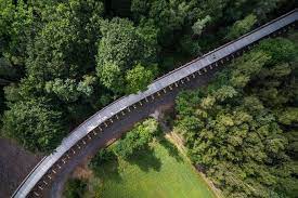 Trappend door de bossen, langs heidevelden, vennetjes en stuwwallen ontdek je de grootse natuur en valt je oog ook op ieder detail. Xlu4d Fzatwdvm