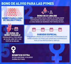 .que feriantes accedan a bono pyme con permiso municipal al día. Bono De Alivio Para Las Pymes Birrous