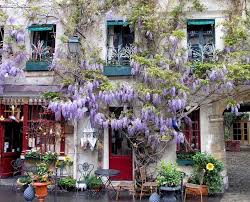 epingle par sarahbaldi sur facades with flowers beaux jardins jardins secrets ile de france