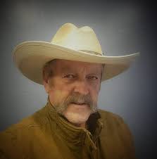 American Kestrel catching dragonfly