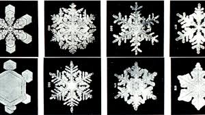 Learn all about snowflakes and enjoy our growing collection of snowflake crafts and games! How Do Snowflakes Form Get The Science Behind Snow National Oceanic And Atmospheric Administration