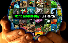 54,551 likes · 51 talking about this. Know The Importance Of Celebrating World Wildlife Day In 21st Century