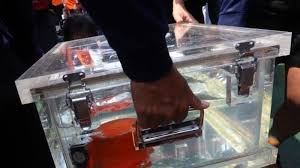 Apa itu black box ? Apa Itu Black Box Atau Kotak Hitam Selalu Jadi Barang Yang Dicari Saat Pesawat Jatuh Tribun Sumsel