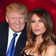 Safa shariff (@Safashariff3)