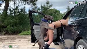 Wife is sitting doggy style in the car, and enjoying dog sex session |  AREA51.PORN