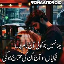 Urdu Poetry 2019 - Two Line Poetry App Store Data & Revenue ...