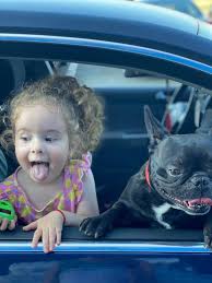 We did not find results for: Barny Probably The Most Beautiful Dog In The World Home Facebook