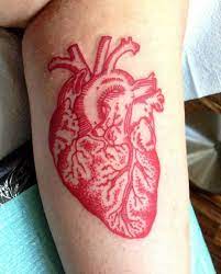 Ink heart tattoos, kanpur, uttar pradesh. Red Ink Heart Tattoo By Laura Casey Tattooimages Biz