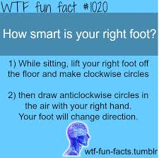 Brain Hacks Wtf Fun Facts Fun Facts Funny Facts