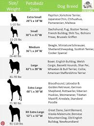 Pin By Sena Lekwa On For The Love Of Pets Dog Size Chart