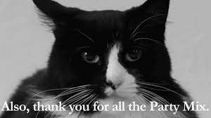 The Friskies Awards Show 2012 Henri Le Chat Noir Le Chat Noir Animal Pictures Cats And Kittens