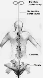 Alternative Meditation Kundalini Holistic Ayurveda Medicine Standing Medical Healing Qigong Qigong Qigo Kundalini Meditation Kundalini Reiki Healer