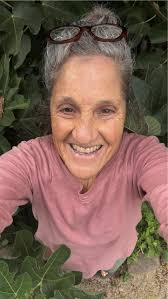 Fallen tree's new role in supporting biodiversity