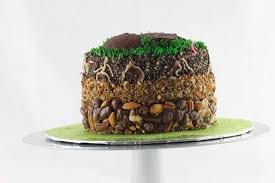 Soil Horizons Cake Imgur Geology Cake Science Cake Let Them Eat Cake