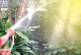 Also ich denke morgens oder abends, auf keinen fall in der mittagshitze. Garten Bewassern Morgens Oder Abends