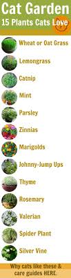 If your cat is attracted to the parsley in your garden, you don't have to worry about him eating it. Pin By Maja Grimme On Cat Lady Cat Garden Cat Safe Cat Diy