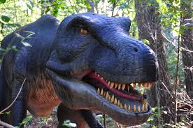 75,140 likes · 2,678 talking about this · 205,675 were here. Dino Park Dierenpark Amersfoort Mapio Net