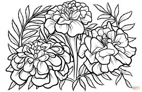 Free printable marigold flower coloring pages. Pin On Etsy Ideas Stickers Packaging