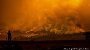 Los incendios forestales tienen un impacto altamente negativo y devastador: Bomberos De Ee Uu Luchan Por Controlar Los Incendios Forestales En Medio De Una Ola De Calor Ecologia Dw 11 07 2021