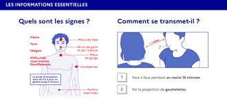 Saison Des Pollens Comment Eviter De Confondre Les Symptomes Des Allergies Avec Ceux Du Covid 19
