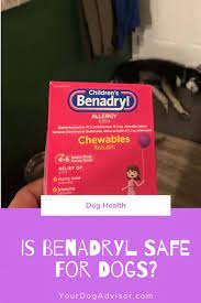 Is Benadryl Safe For Dogs Plus Eira S First Ever Benadryl Experience Your Dog Advisor