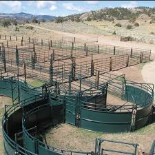 Corral Handling System Design Guide Hi Hog Cattle Facility Livestock Barn Cattle Corrals