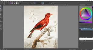 Krita Vs Photoshop 2021 Head To Head Comparison Believe it or not krita is now faster than photoshop in term of the brush performance.