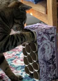 Des Jouets Pour Chat A Fabriquer Soi Meme Jouet Pour Chat Jeux Pour Chat Et Nourriture Chat