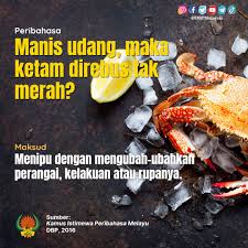 Enggang mempunyai sayap yang besar dan jika. Peribahasa Hashtag Pa Twitter