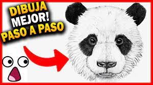 Como Un Oso Panda Realista Paso A Paso Muy Facil Dibujo De Animales Youtube Aprenda como dibujar el facil, paso a paso mientras se divierte y construye habilidades y confianza. como un oso panda realista paso a paso muy facil dibujo de animales