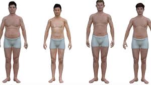 The best training plan for your body. This Is The Average Man S Body The Atlantic