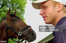 26 Bray Hunter Stock Photos, High-Res Pictures, and Images