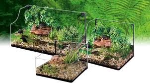 Exo Terra Turtle Terrarium Large Aquatic Habitat Terrarium Turtle Terrarium Succulent Terrarium