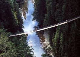 Capilano Suspension Bridge North Vancouver Bc The Most Afraid I Have Ever Been In All My Life Capilano Suspension Bridge Suspension Bridge Scary Bridges