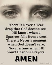 Are not two sparrows sold for a farthing? and one of them shall not fall