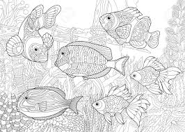 All you need is photoshop (or similar), a good photo, and a couple of minutes. Coloring Page Of Underwater World Royalty Free Cliparts Vectors And Stock Illustration Image 85857381
