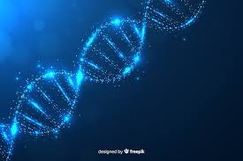 DNA to RNA to Protein Synthesis