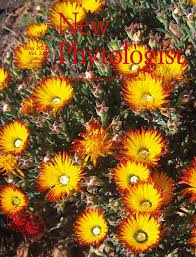 Morris flowers is a floral design studio with a passion for wedding design, luxury everyday florals, education, and inspiration from the world of flowers through our blog. New Phytologist Wiley Online Library