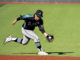 LCC baseball coach suspended, 15 wins forfeited due to violations