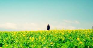 Pin On Where Is Jessica Hyde