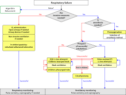 Findings of the american college of allergy, asthma and immunology the etiology and incidence of anaphylaxis in rochester, minnesota: Guideline S2k On Acute Therapy And Management Of Anaphylaxis 2021 Update Springerlink