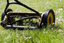 Was Tun Gegen Zecken Im Garten Die Top 10 Tricks