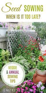 When Is It Too Late To Sow Seeds Outdoors Empress Of Dirt Plants Gardening For Beginners Planting Flowers