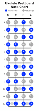 A player's most important piece of foundational knowledge is, without a doubt, the notes on an ukulele fretboard. How To Find Ukulele Fretboard Notes Using The Chromatic Scale