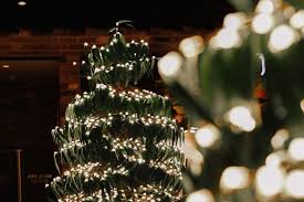 Christmas in oz can feel a bit strange if you are used to the cold wintry scenes often depicted on christmas cards. Australian Christmas Gum Tree Avatree